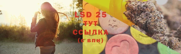 ПСИЛОЦИБИНОВЫЕ ГРИБЫ Абдулино