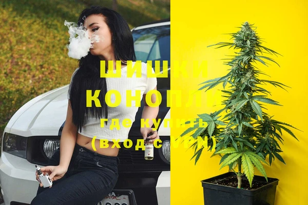 ГАЛЛЮЦИНОГЕННЫЕ ГРИБЫ Алексеевка
