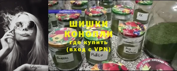 ГАЛЛЮЦИНОГЕННЫЕ ГРИБЫ Алексеевка