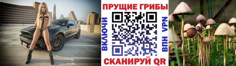 Галлюциногенные грибы Psilocybine cubensis  цены наркотик  Сольвычегодск 