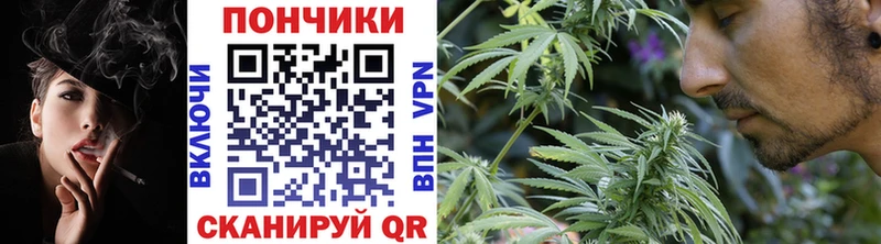 Каннабис LSD WEED  мориарти какой сайт  Сольвычегодск 